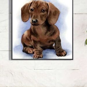 Dachshund Doxie Diamond Painting Kits Art Set 20 X 20 cm Dog Portrait New!